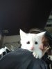 IMG_20171104_080504.jpg