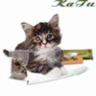 KaTu