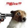 !!!@lex!!!