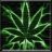 WeedSmoke